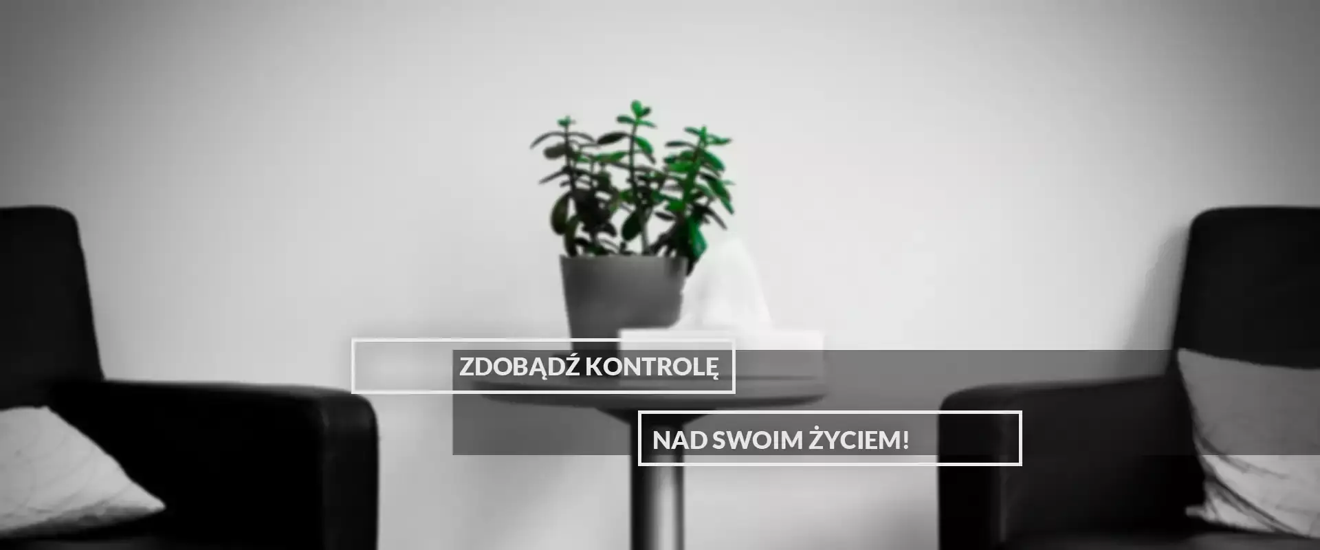 Banner 1